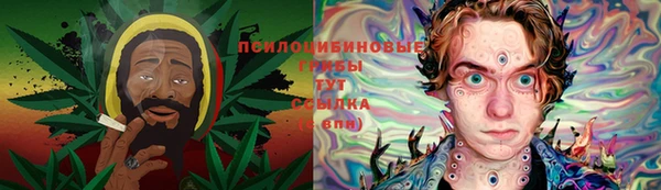тгк Валдай