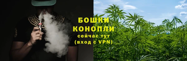 стаф Нягань