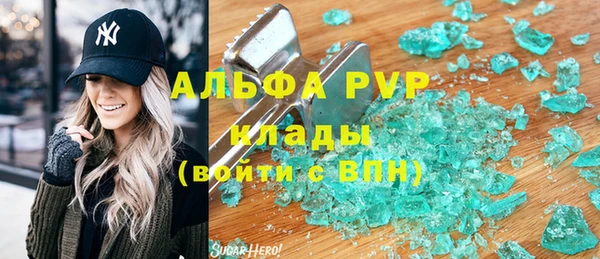 дживик Няндома