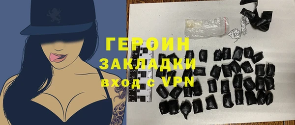 дживик Няндома