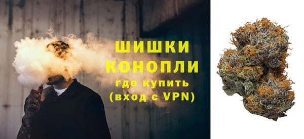 дживик Няндома