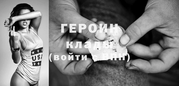 дживик Няндома