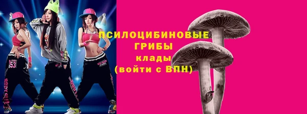 дживик Няндома