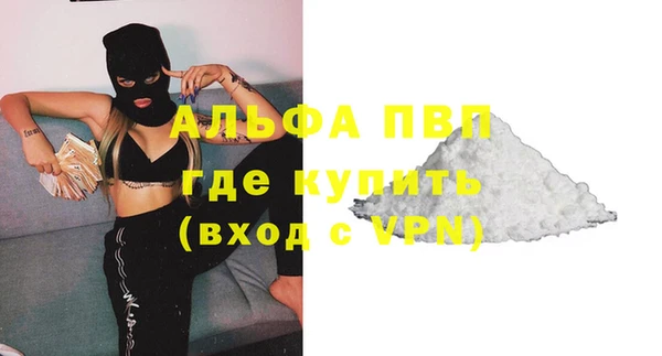 дживик Няндома