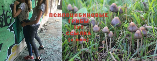 MDMA Premium VHQ Ветлуга