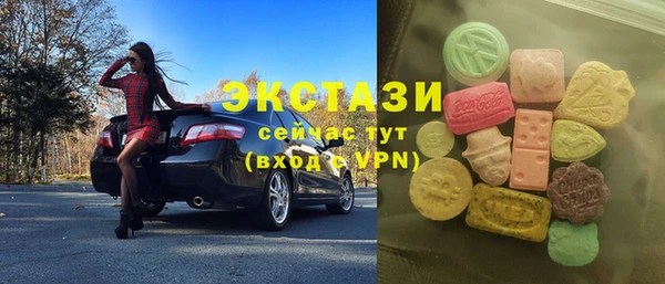 дживик Няндома