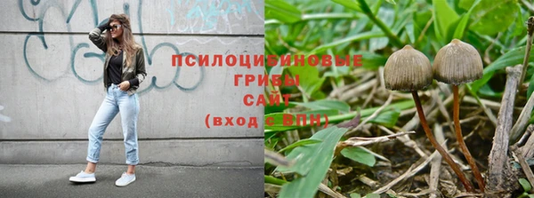 стаф Нягань