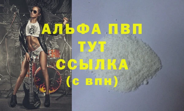 дживик Няндома