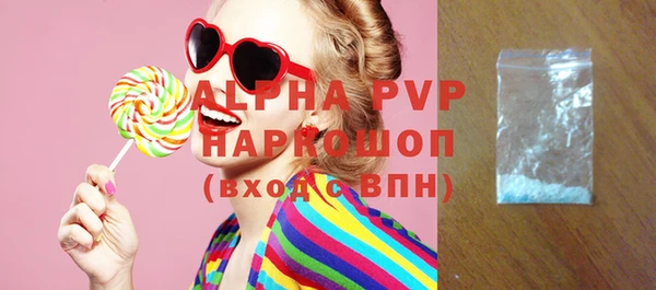 дживик Няндома