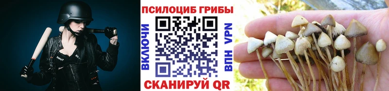 omg онион  закладки  Шарыпово  Галлюциногенные грибы Psilocybe 